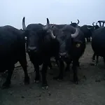 度假居 Elisa